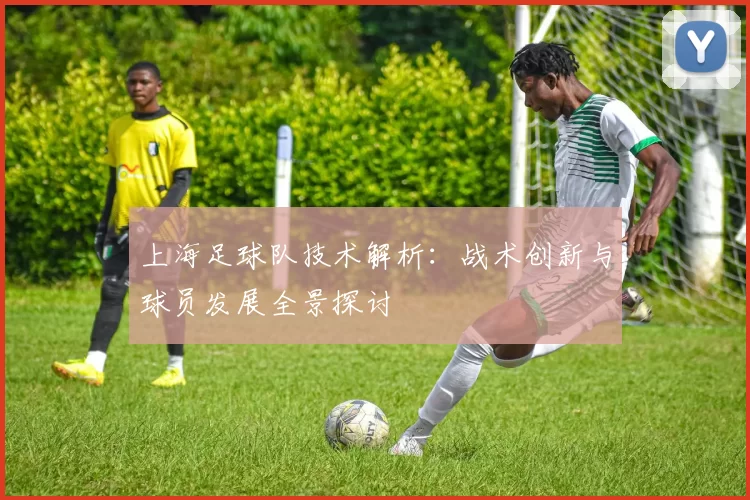 上海足球队技术解析：战术创新与球员发展全景探讨
