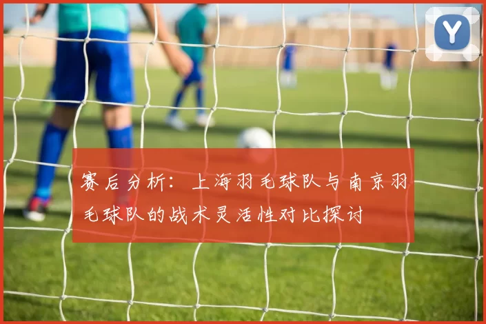 赛后分析：上海羽毛球队与南京羽毛球队的战术灵活性对比探讨