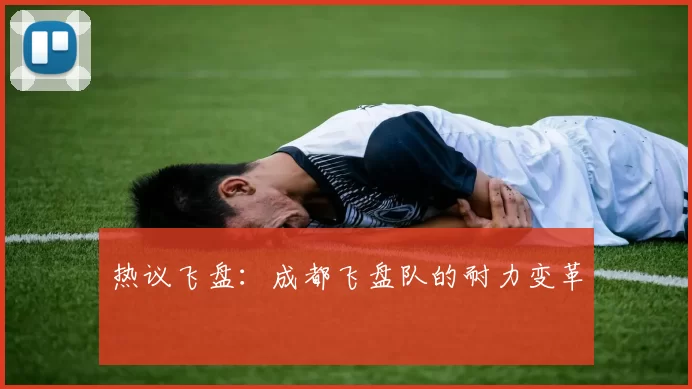 热议飞盘：成都飞盘队的耐力变革