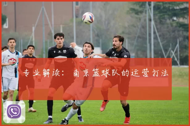 专业解读：南京篮球队的运营打法
