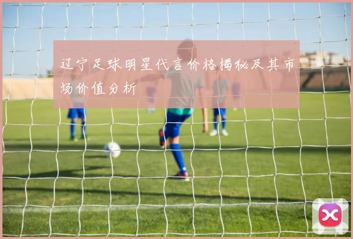 辽宁足球明星代言价格揭秘及其市场价值分析