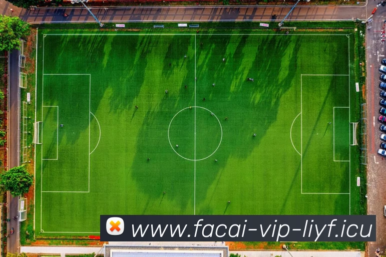 乐鱼体育品牌故事